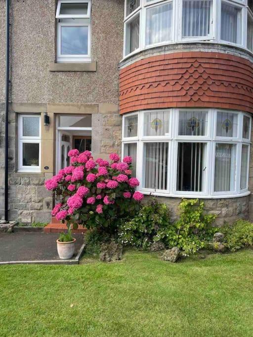 Kelvinside, Seahouses, 2 Minute Walk Into Village ภายนอก รูปภาพ