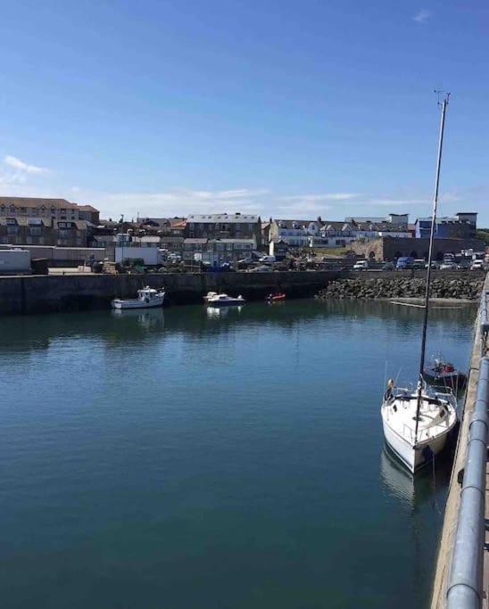 Kelvinside, Seahouses, 2 Minute Walk Into Village ภายนอก รูปภาพ
